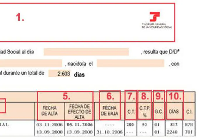 Todo Lo Que Debes Saber Sobre Tu Informe De Vida Laboral Y Cómo ...